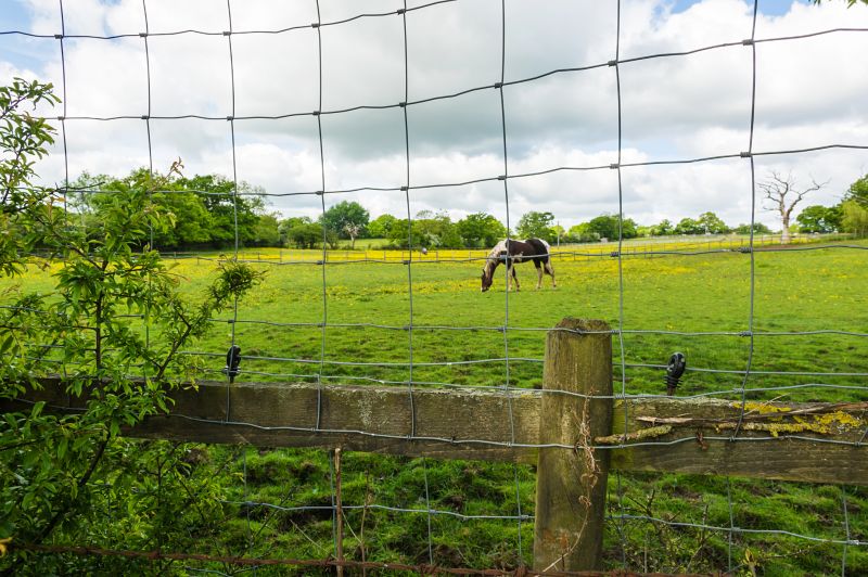 Equine Fence Repair