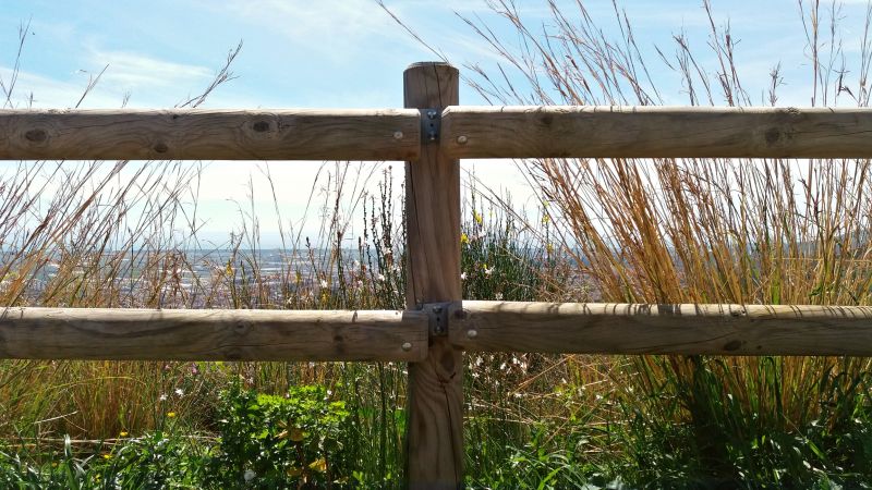 Traditional Wooden Fence